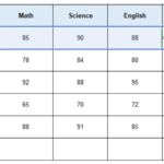 Excel AVERAGE Function
